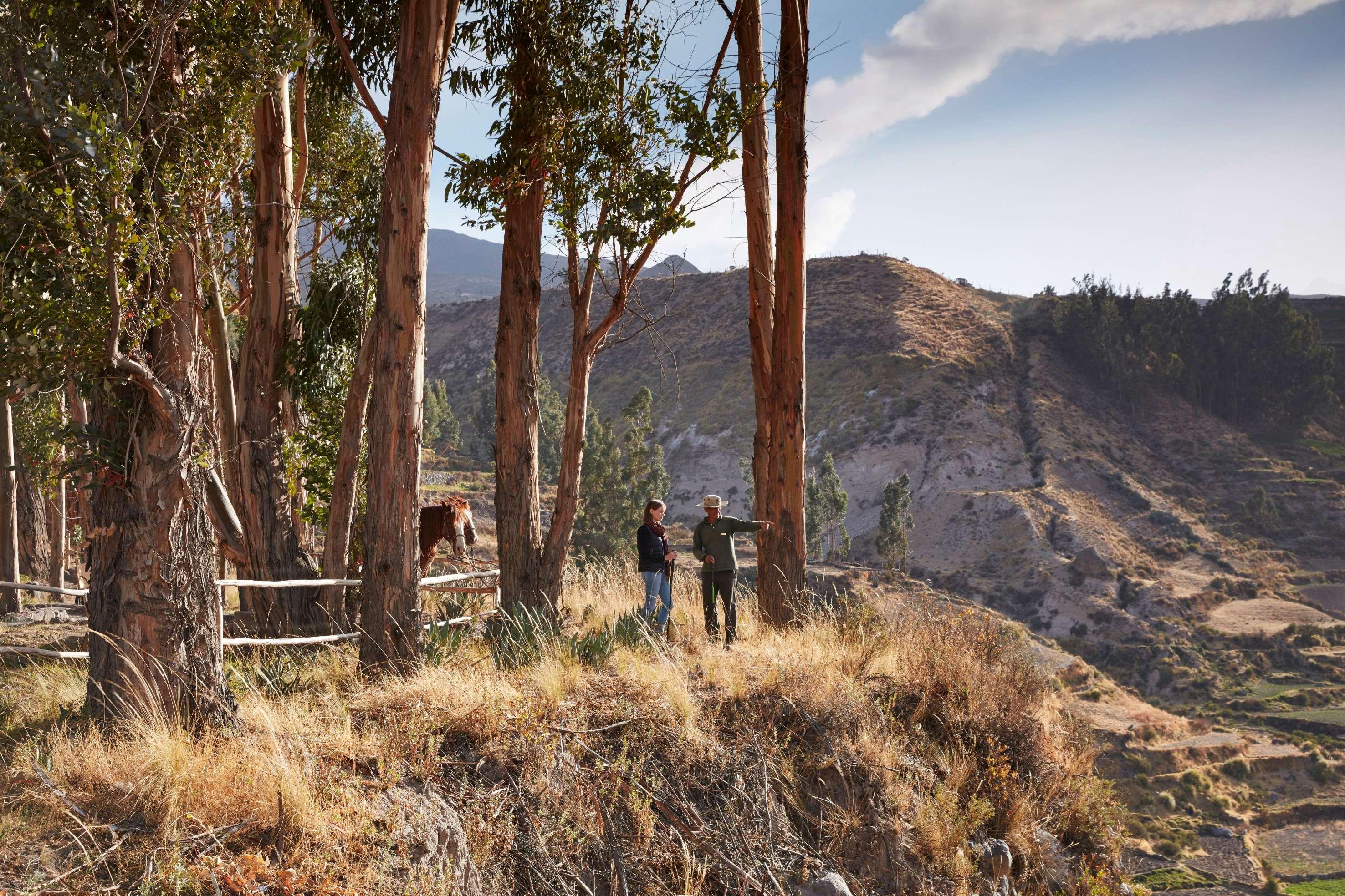 Las Casitas, A Belmond Hotel, Colca Canyon Yanque Exterior photo